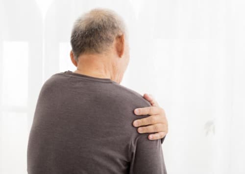 Hondrox onde comprar