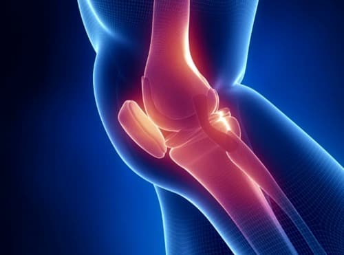 Hondrox onde é vendido